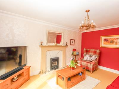 Picture 19